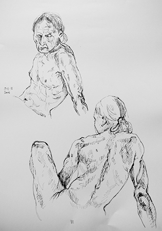 muscles and sinews